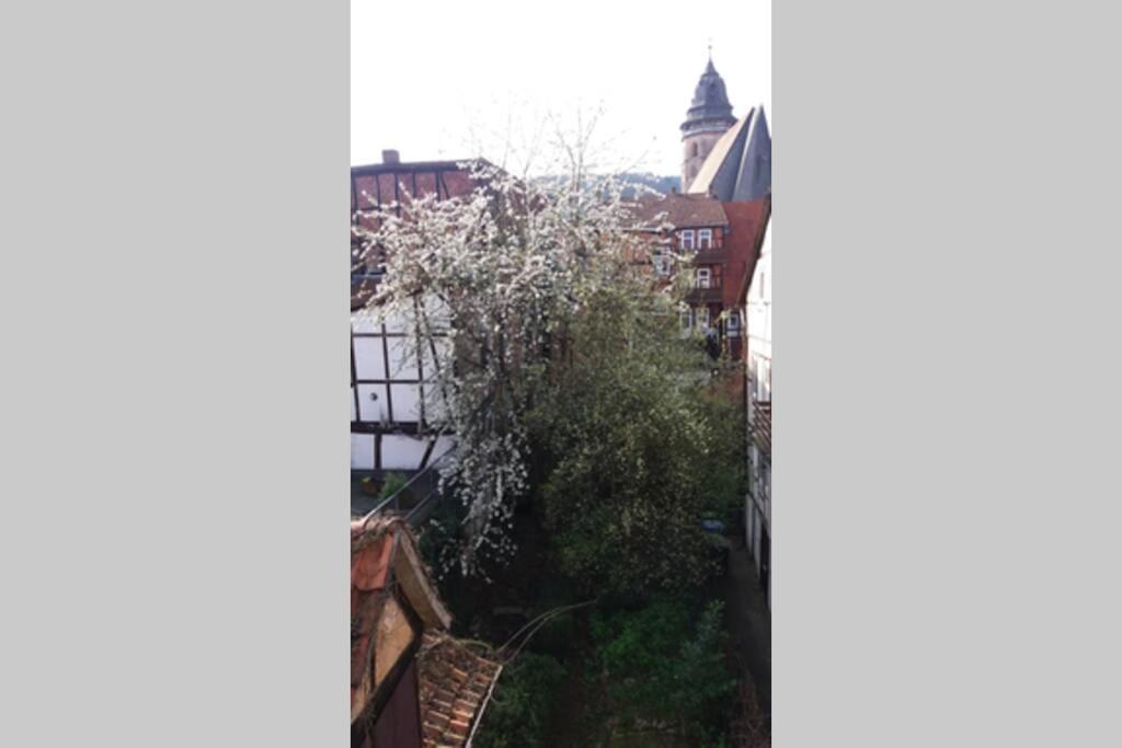 Hannoversch Münden Staying In An Historic Frame House מראה חיצוני תמונה